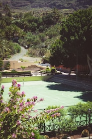 A green sports court is surrounded by lush greenery and flowering bushes in a serene outdoor setting. A pathway leads through the landscape with tall palm trees and mountains in the background.