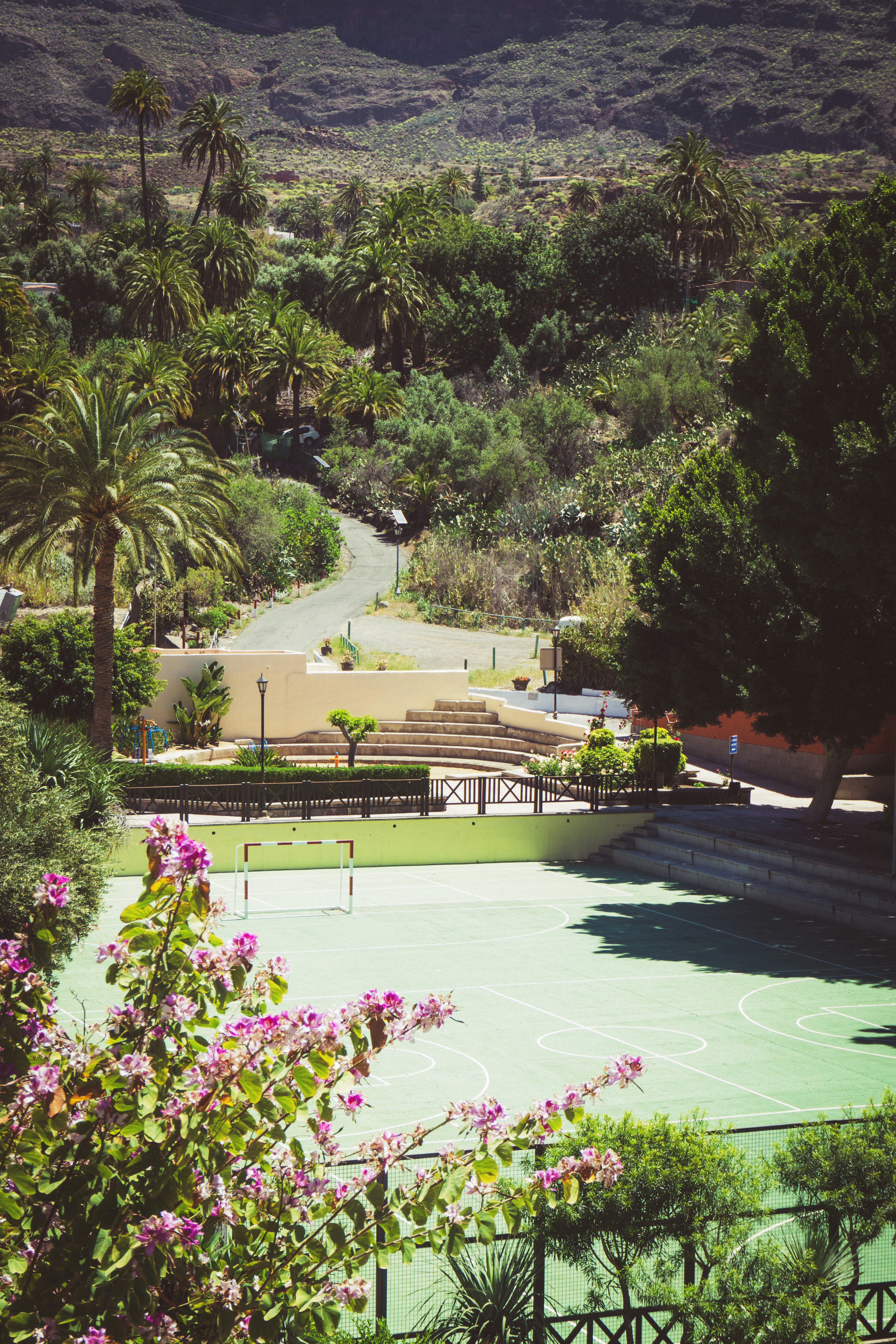 a golf course with trees and a golf course