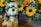 A plush toy dog with a fluffy, realistic appearance is sitting next to a wooden planter filled with vibrant artificial flowers, including sunflowers and various colorful blooms. The combination of textures from the soft fur and the vivid, lifelike flowers creates a cheerful and cozy scene.