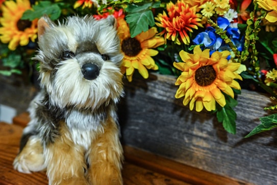 A plush toy dog with a fluffy, realistic appearance is sitting next to a wooden planter filled with vibrant artificial flowers, including sunflowers and various colorful blooms. The combination of textures from the soft fur and the vivid, lifelike flowers creates a cheerful and cozy scene.