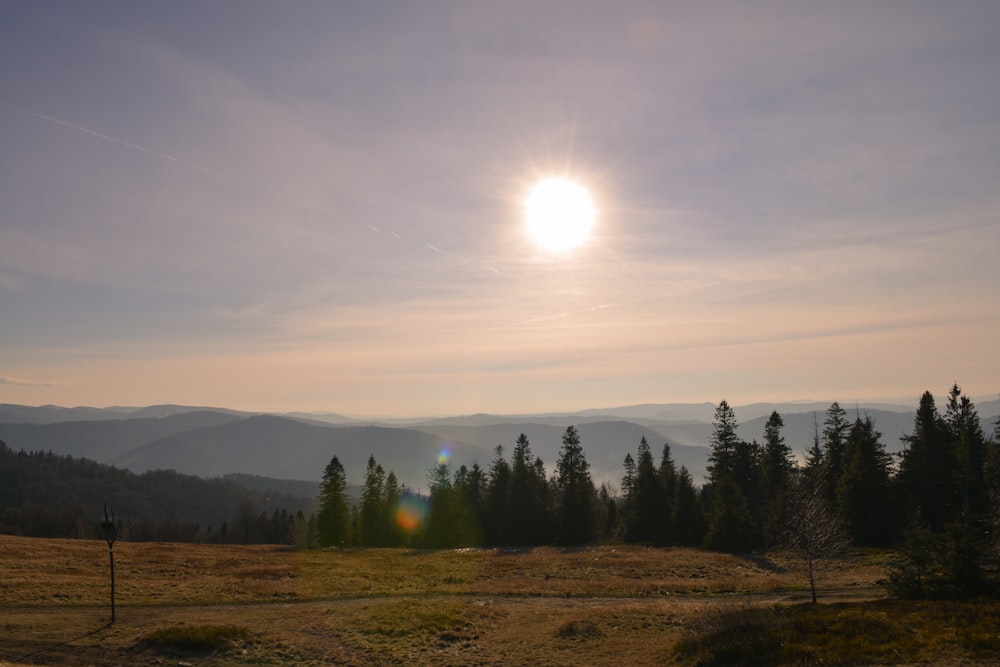 a landscape with trees and hills in the back