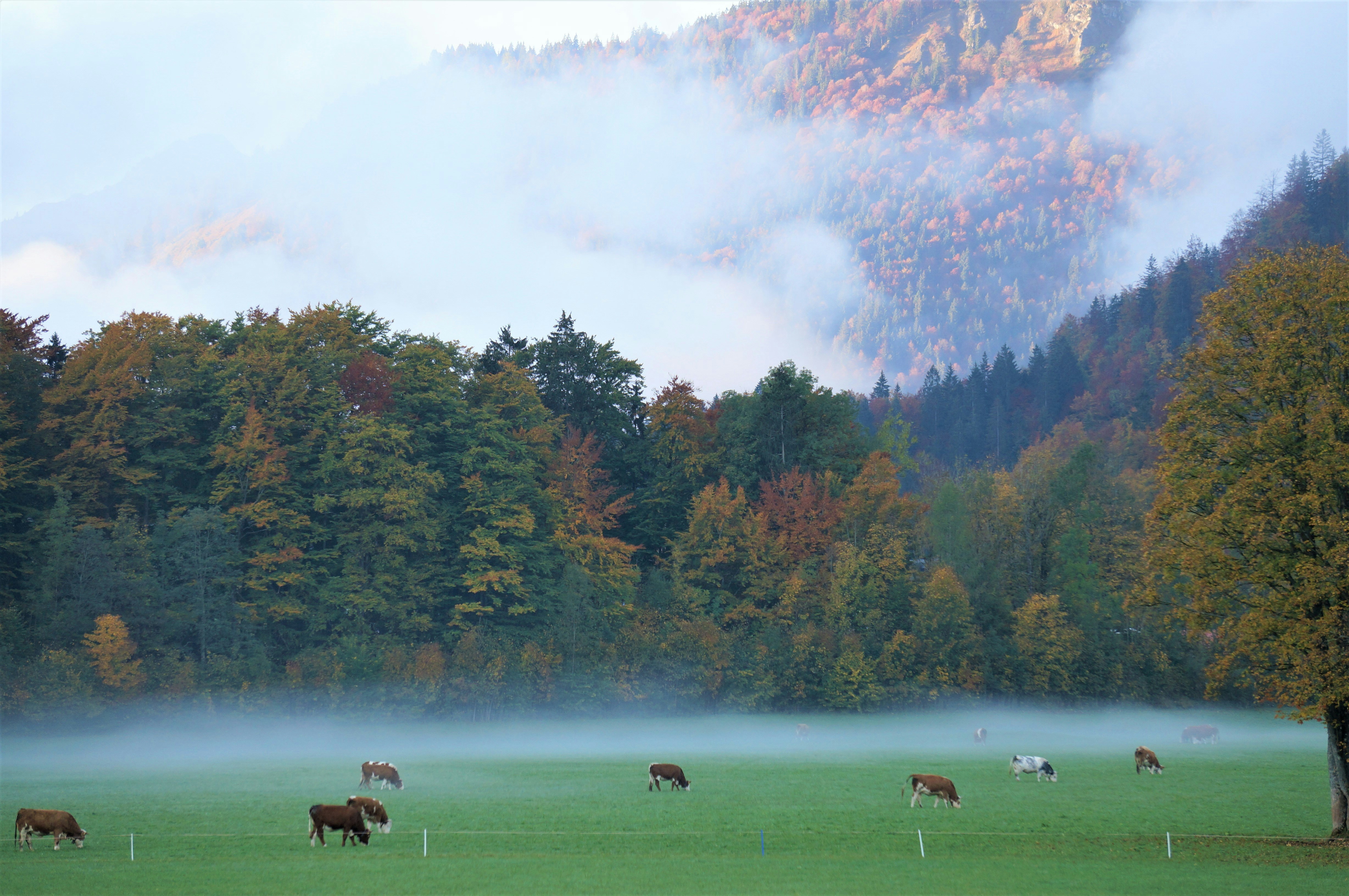 Photo by harmrijerkerk