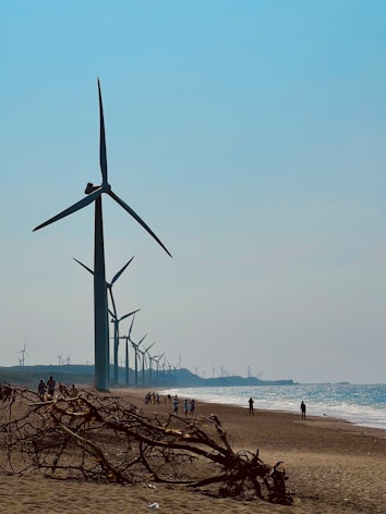 A coastal landscape features a series of tall wind turbines lined up along the beach, extending into the distance. Several people walk and stand on the sandy shore, and a large piece of driftwood rests in the foreground. The sea is visible to the right, with gentle waves lapping against the beach under a clear blue sky.