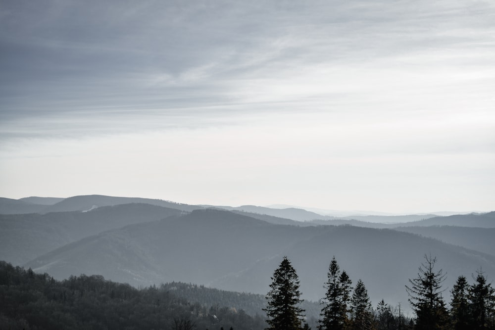 a landscape with trees and mountains in the back