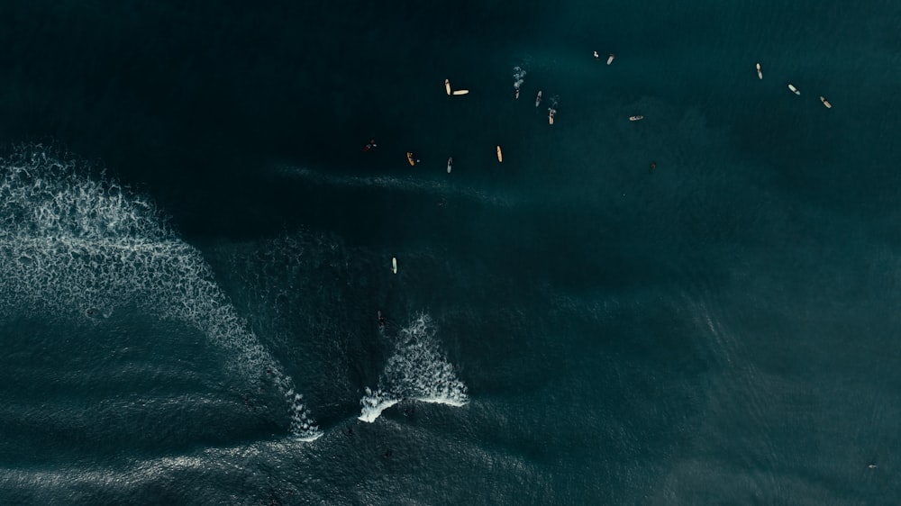 Un grupo de personas en el agua