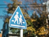 A parent and child practicing street crossing at a crosswalk with clear signals.