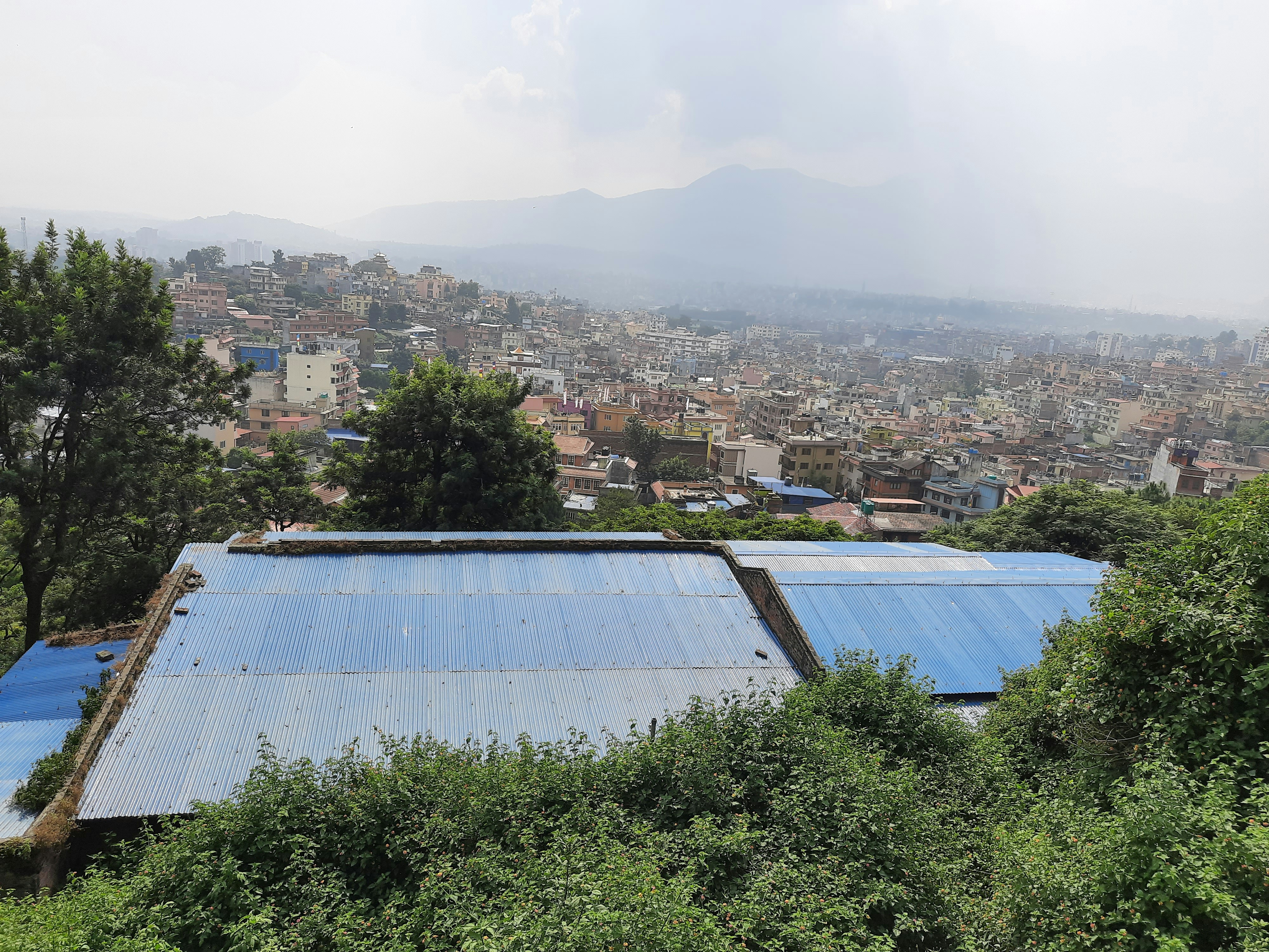 Urban Farming Techniques: Transforming Rooftops and Empty Lots in Morocco