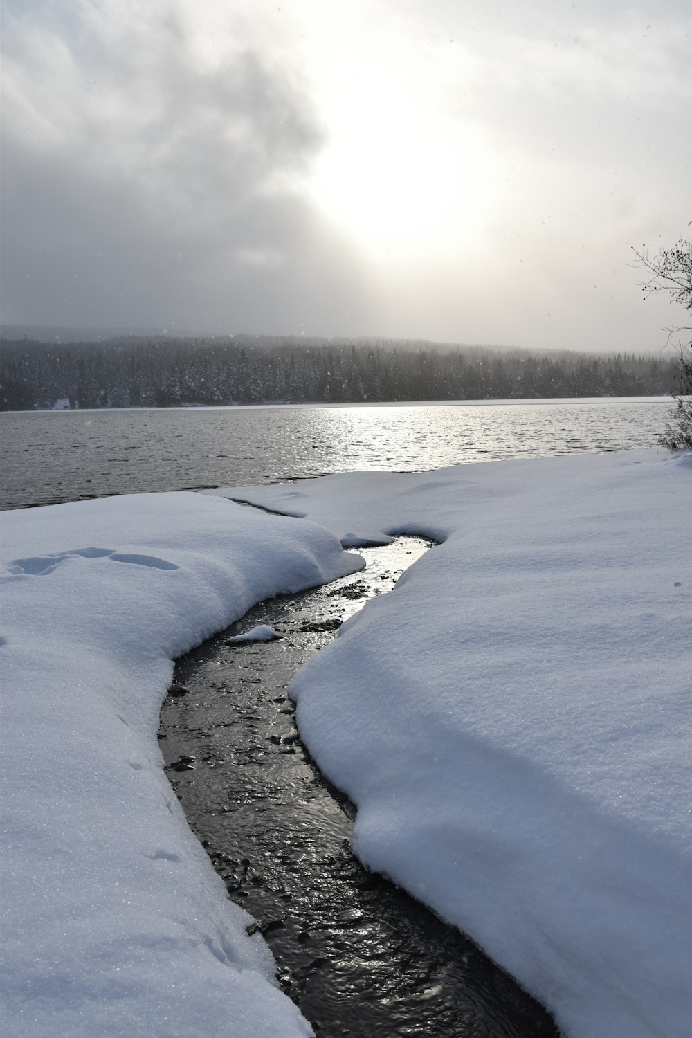 a snowy landscape with a body of water and trees in the background