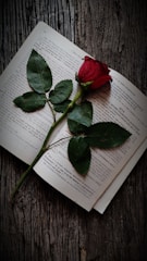 A single red rose lies across an open book on a rustic wooden surface. Water droplets can be seen on the rose petals, adding a sense of freshness and life. The open book has visible printed text, suggesting it might be a novel or an academic text.