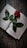 A single red rose lies across an open book on a rustic wooden surface. Water droplets can be seen on the rose petals, adding a sense of freshness and life. The open book has visible printed text, suggesting it might be a novel or an academic text.