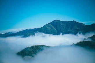 A serene view of Ozonic Mountain View Homestay surrounded by lush greenery.