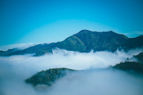 A tranquil view of lush green mountains shrouded in soft morning mist.