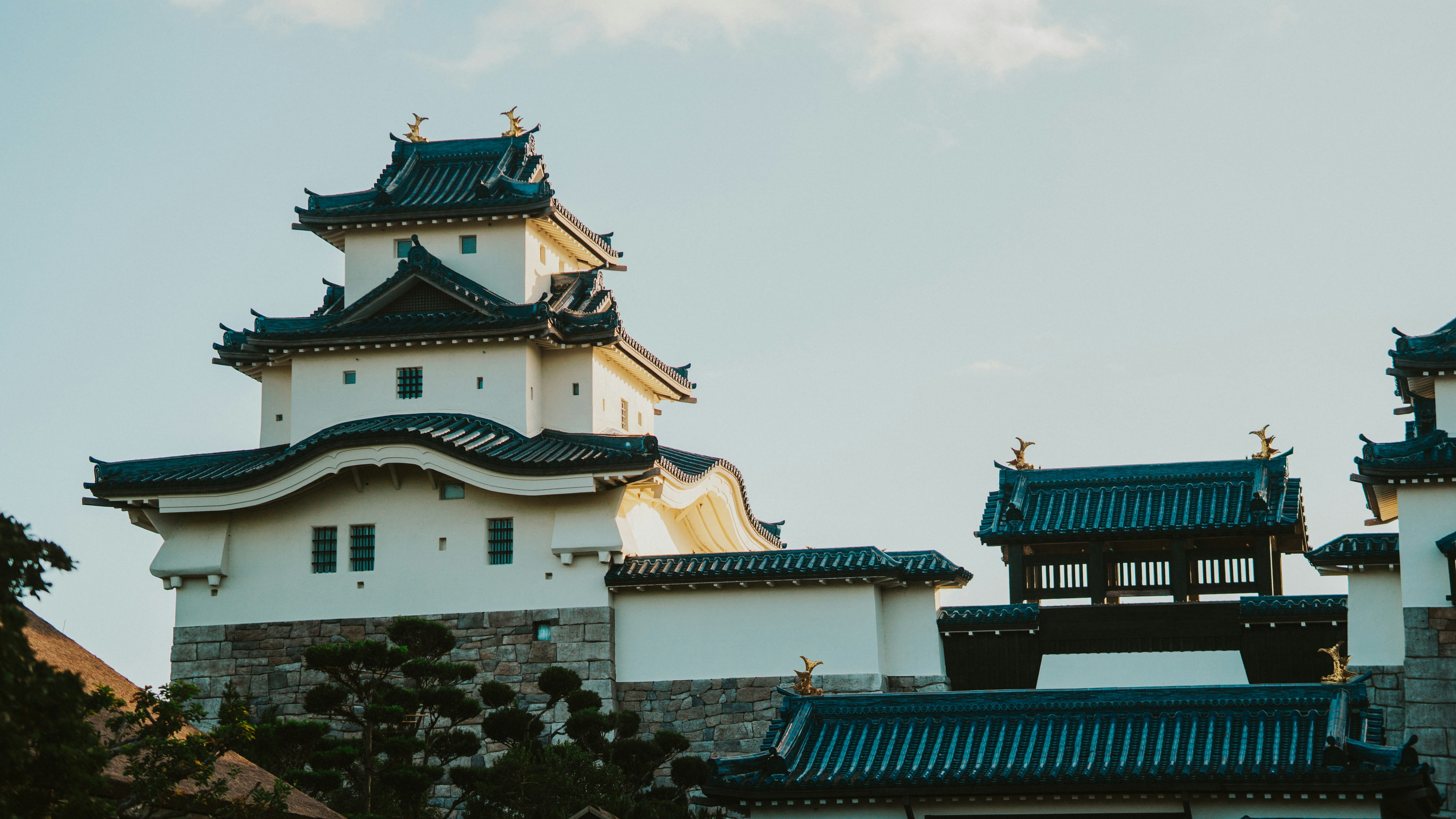 Photo by nickfuentes_