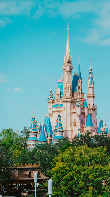 Family friendly ammusment parks like Disney in Orlando create great opportunities for STR investors.