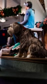 A lifelike model of a dog with realistic fur is sitting prominently in the foreground. In the background, a person wearing a blue hoodie and headphones is seated on a stool, partially turned away from the camera. Holiday decorations, such as garlands and bows, are visible, adding a festive touch to the scene. The setting seems to be indoors with dim lighting.