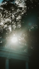 Close-up of a spacious balcony with sunlight streaming in, overlooking green walking paths