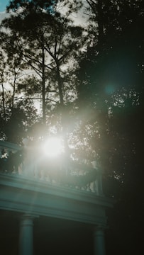 Bright sunlight filters through tall trees, casting a soft glow over a balcony decorated with greenery. The structure features white columns and an elegant railing, adding a sense of classic architecture against the backdrop of lush foliage.