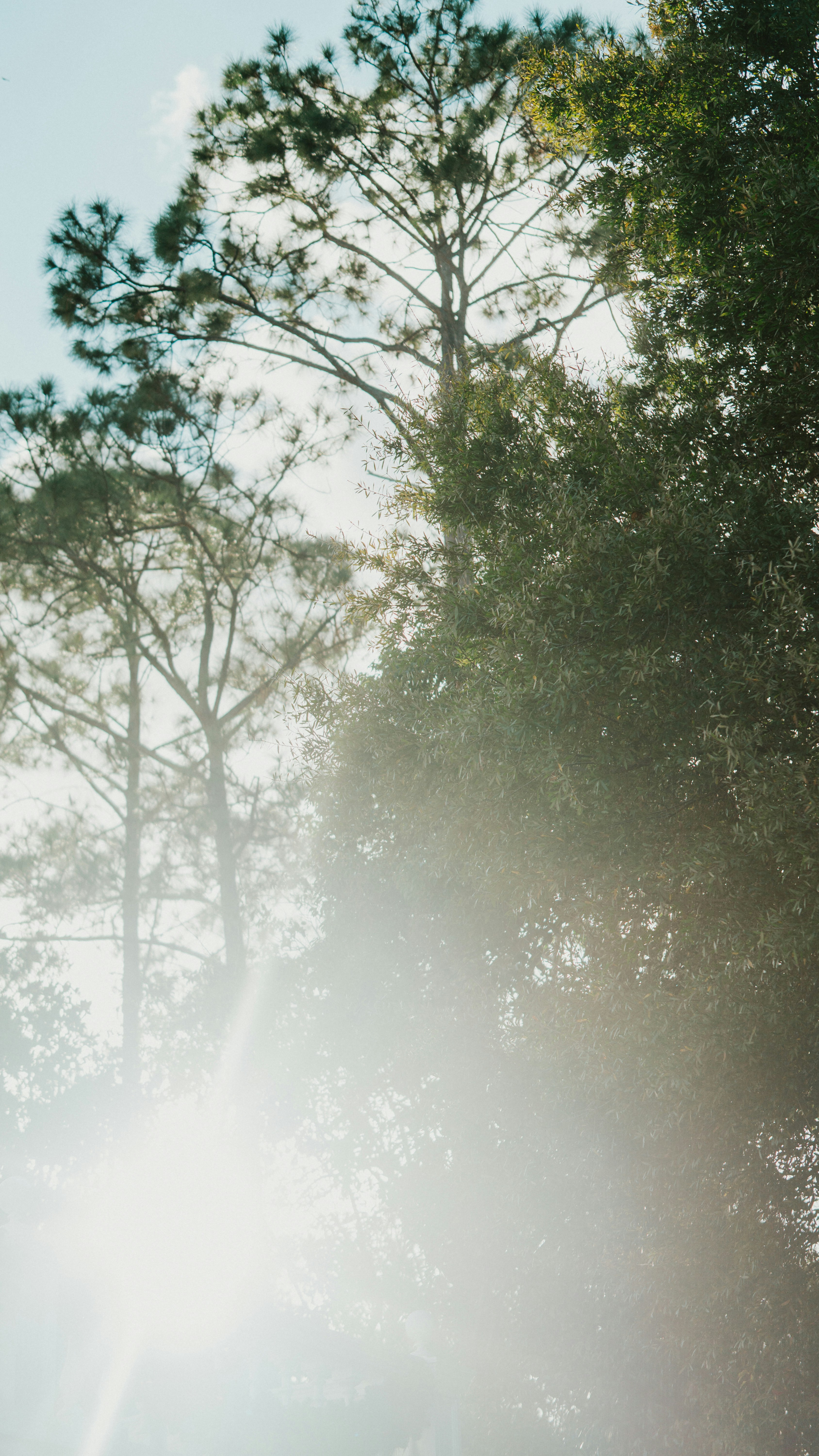 Photo by nickfuentes_