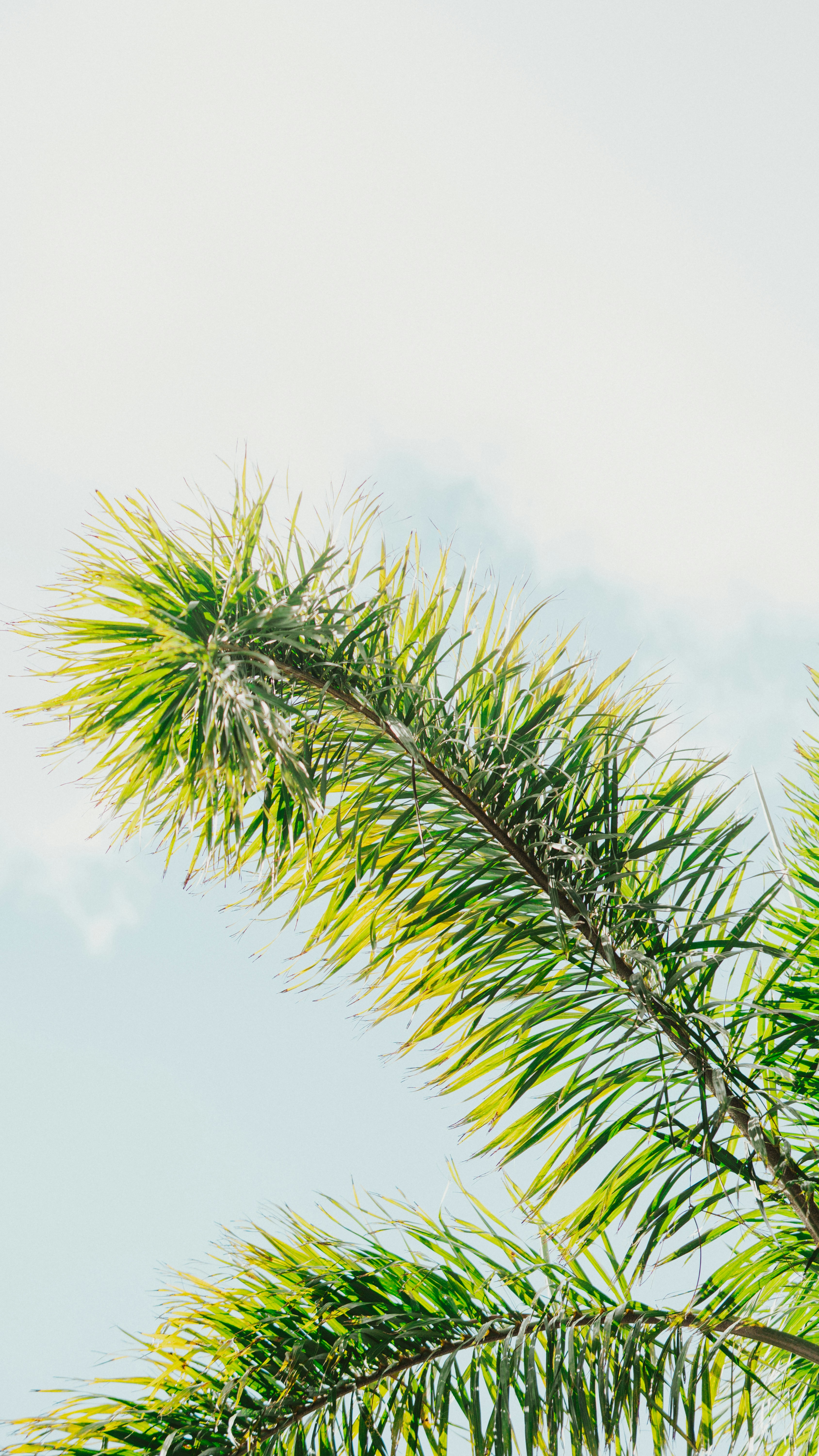 Photo by nickfuentes_