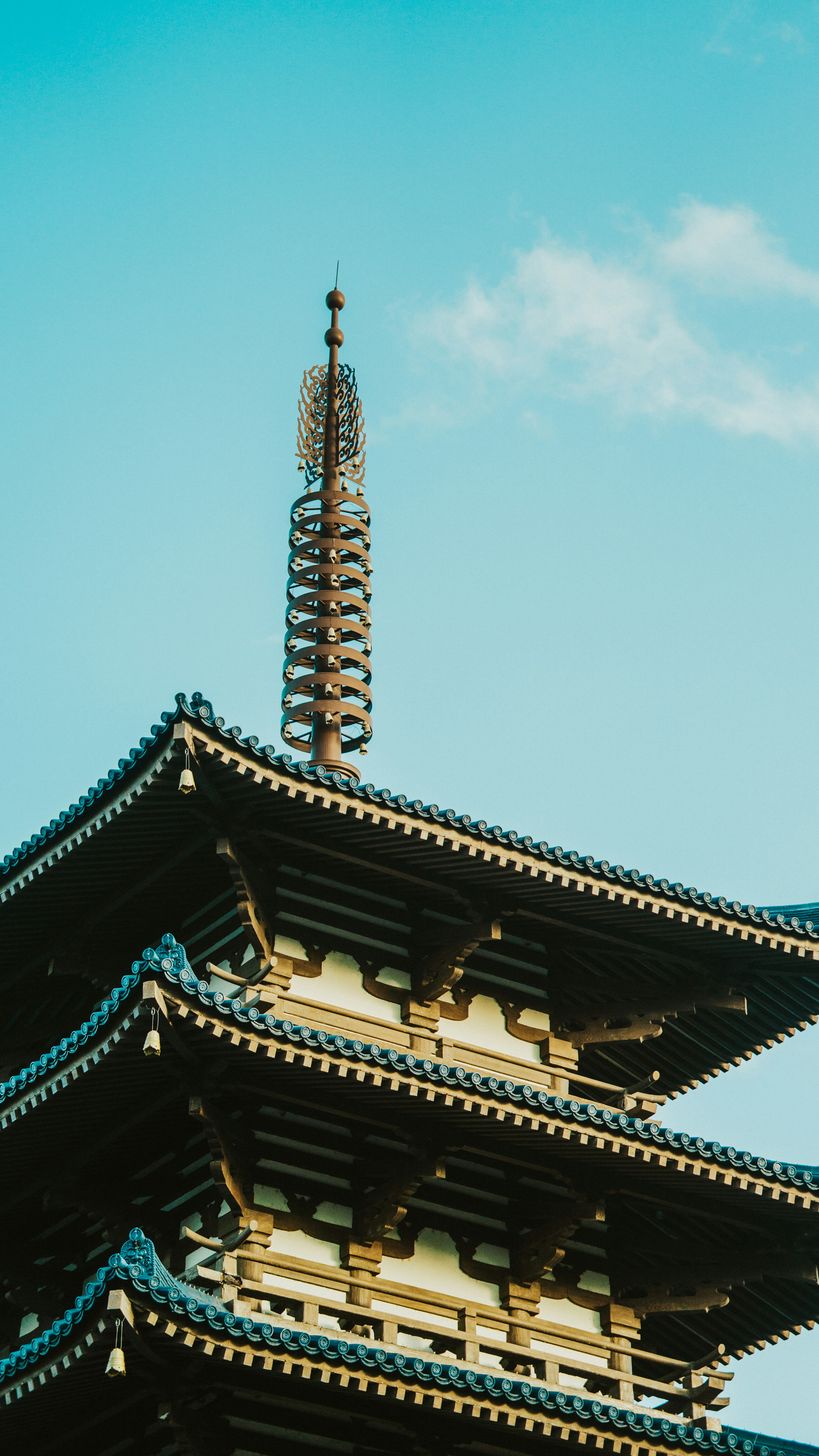 Photo by nickfuentes_