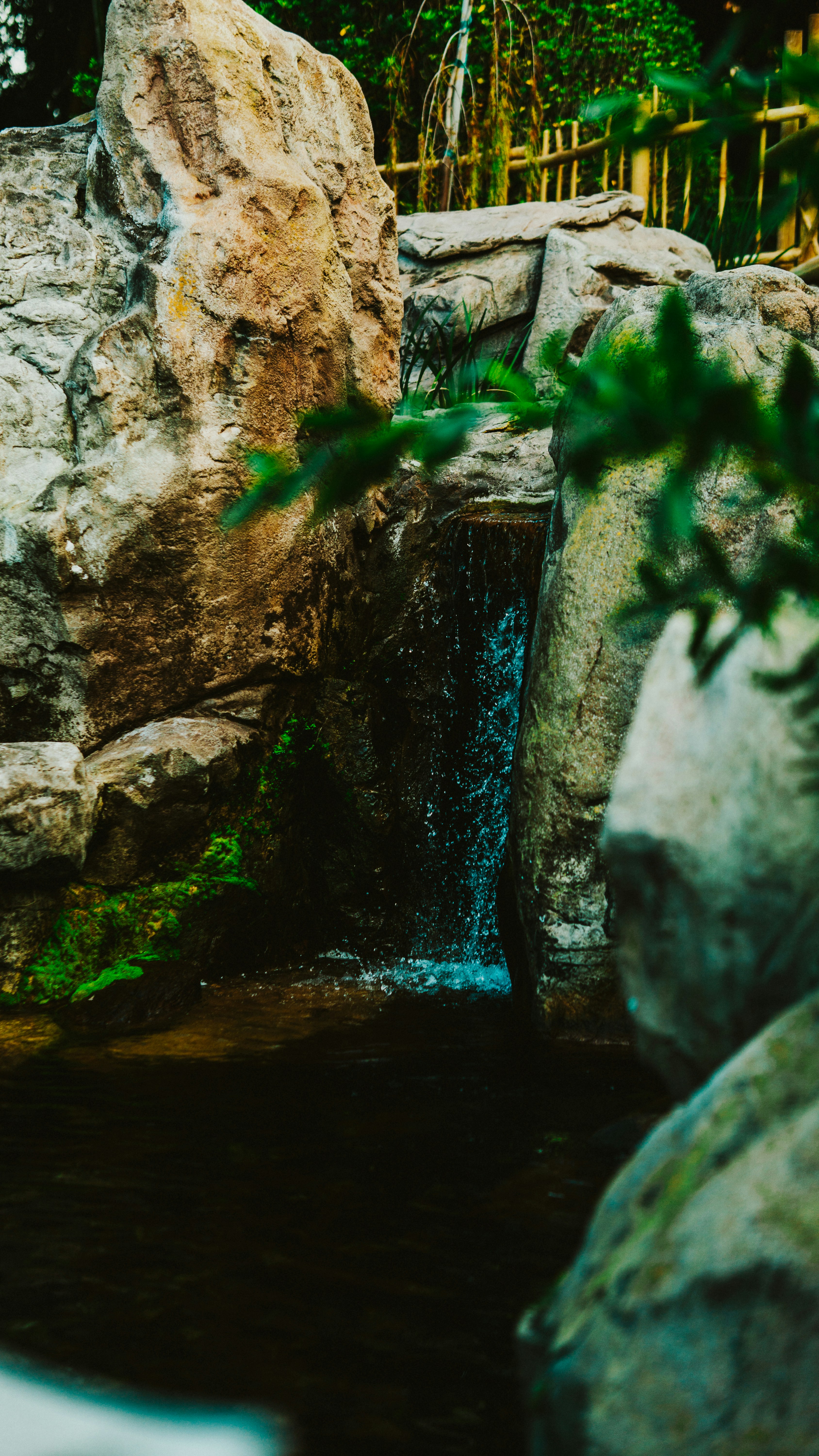 Photo by nickfuentes_