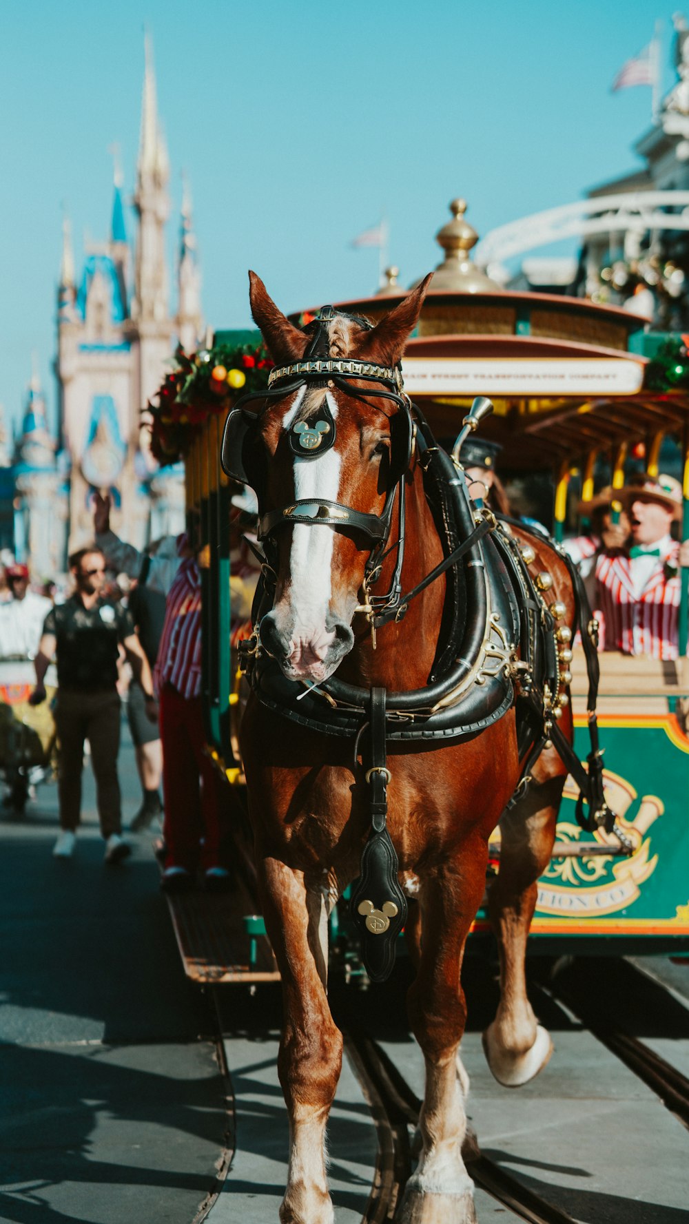 a horse with a carriage