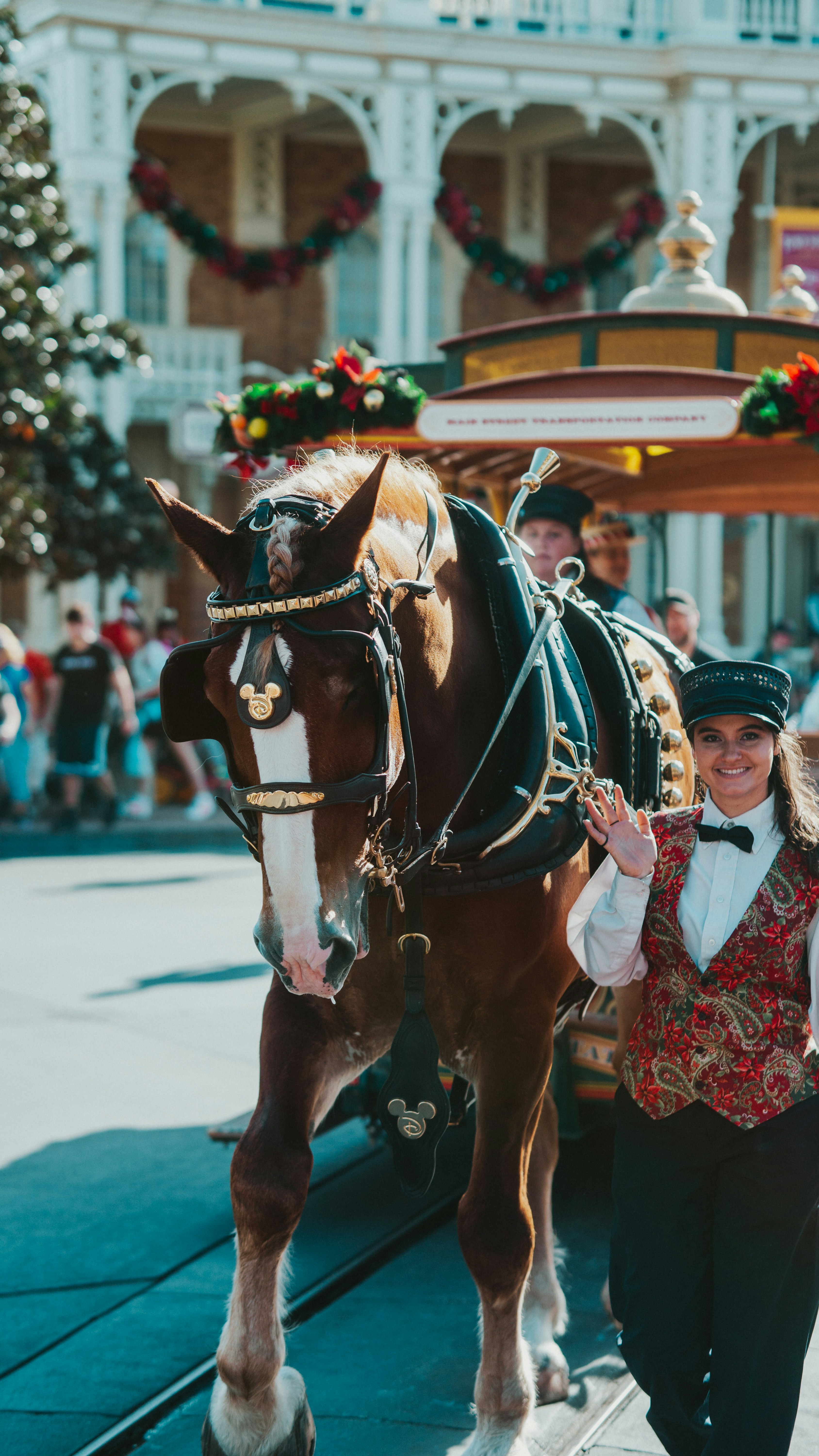 Photo by nickfuentes_