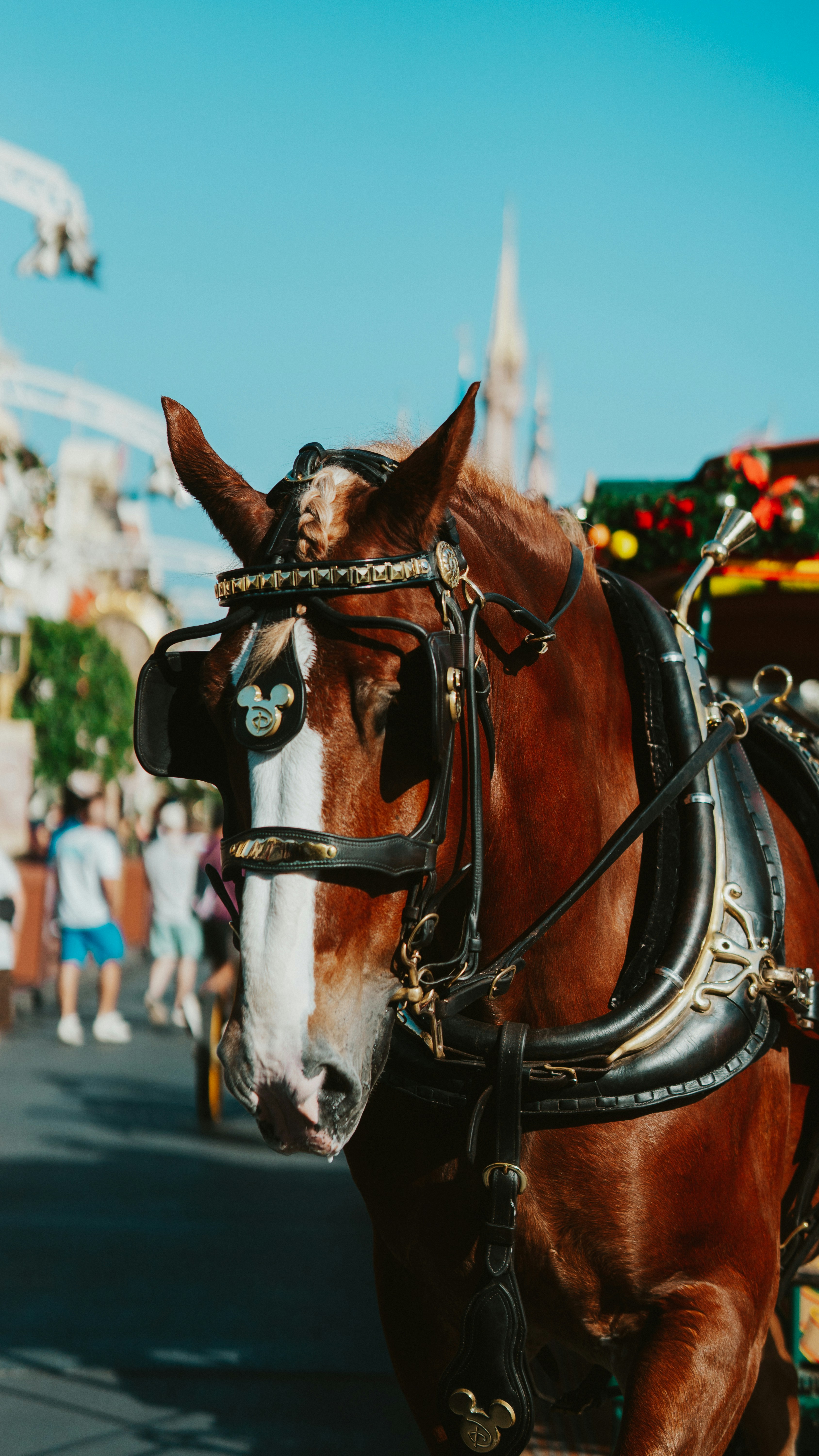 Photo by nickfuentes_