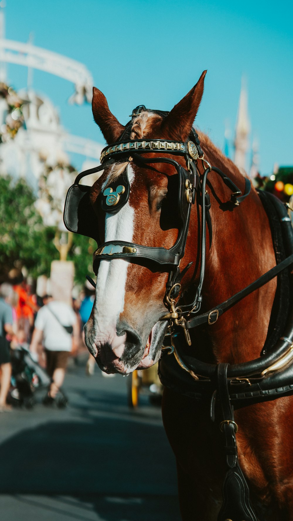 a horse with a mask on its head