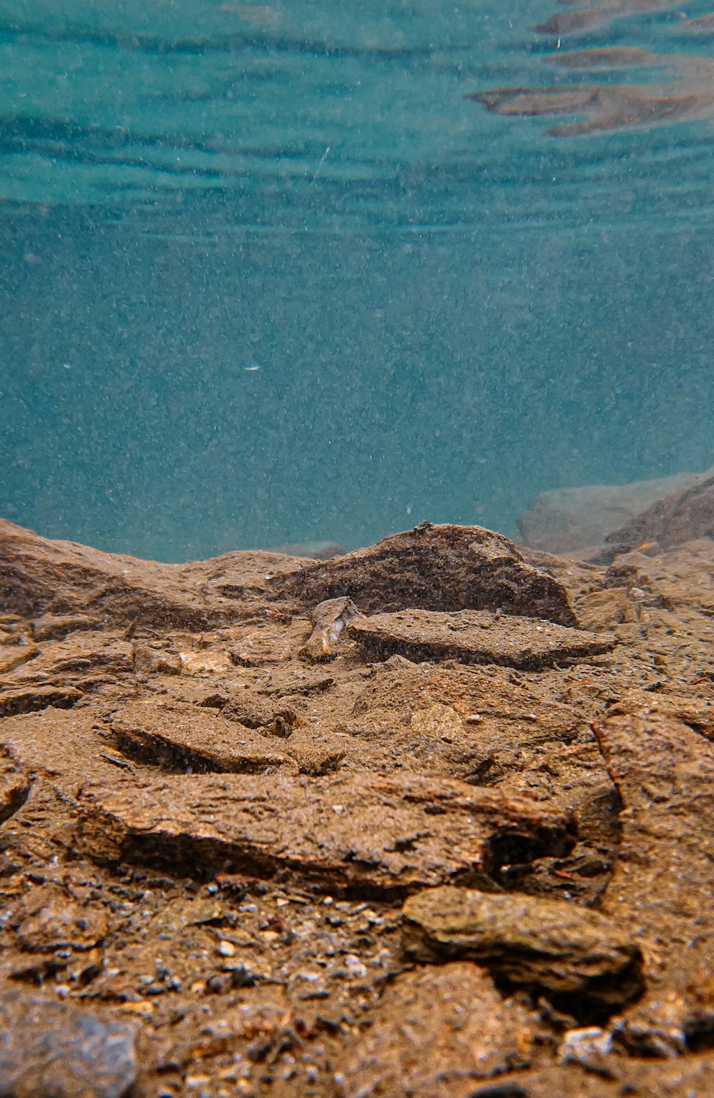 a rocky beach with a body of water in the background