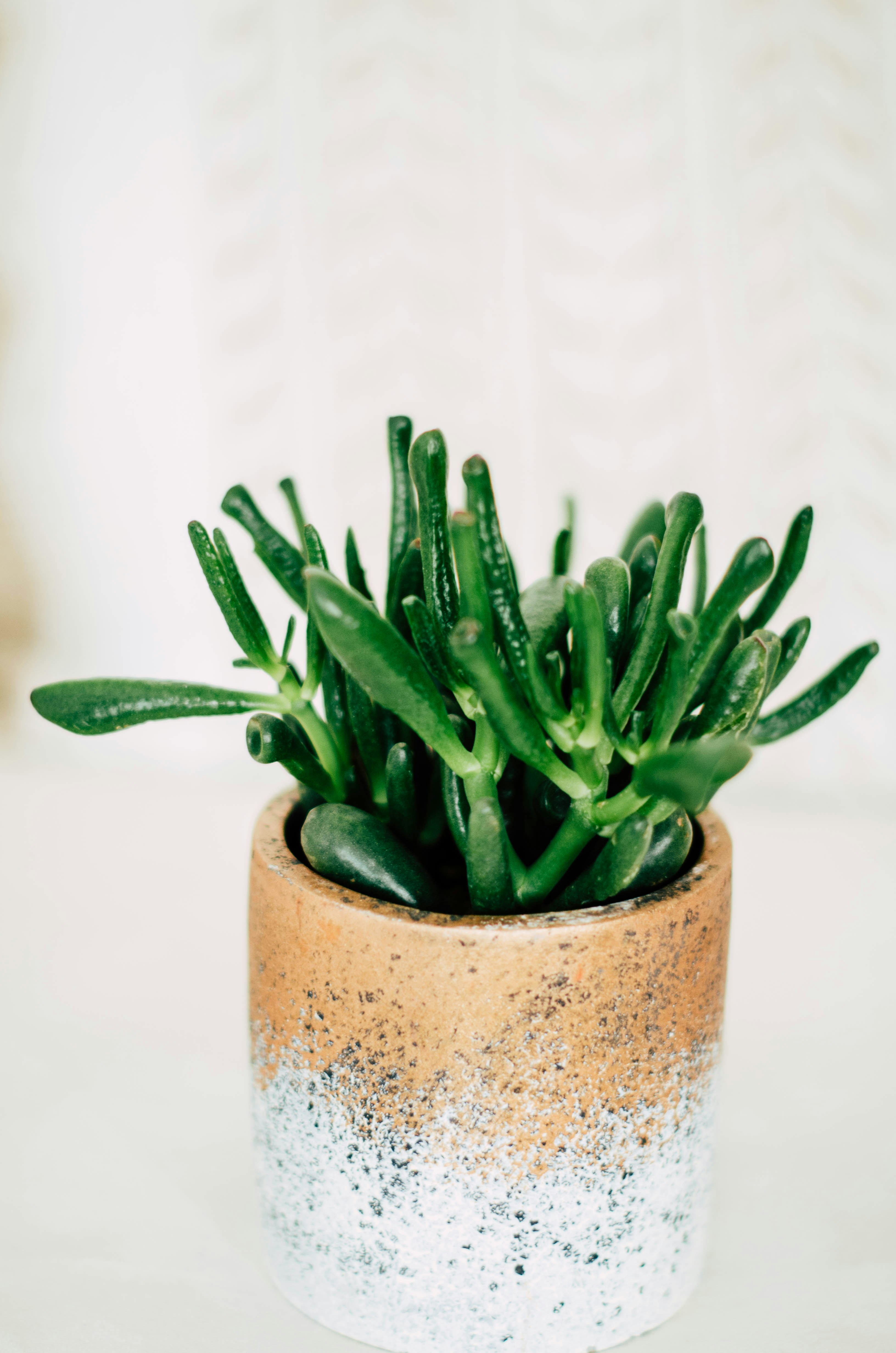 Photo by nika_benedictova