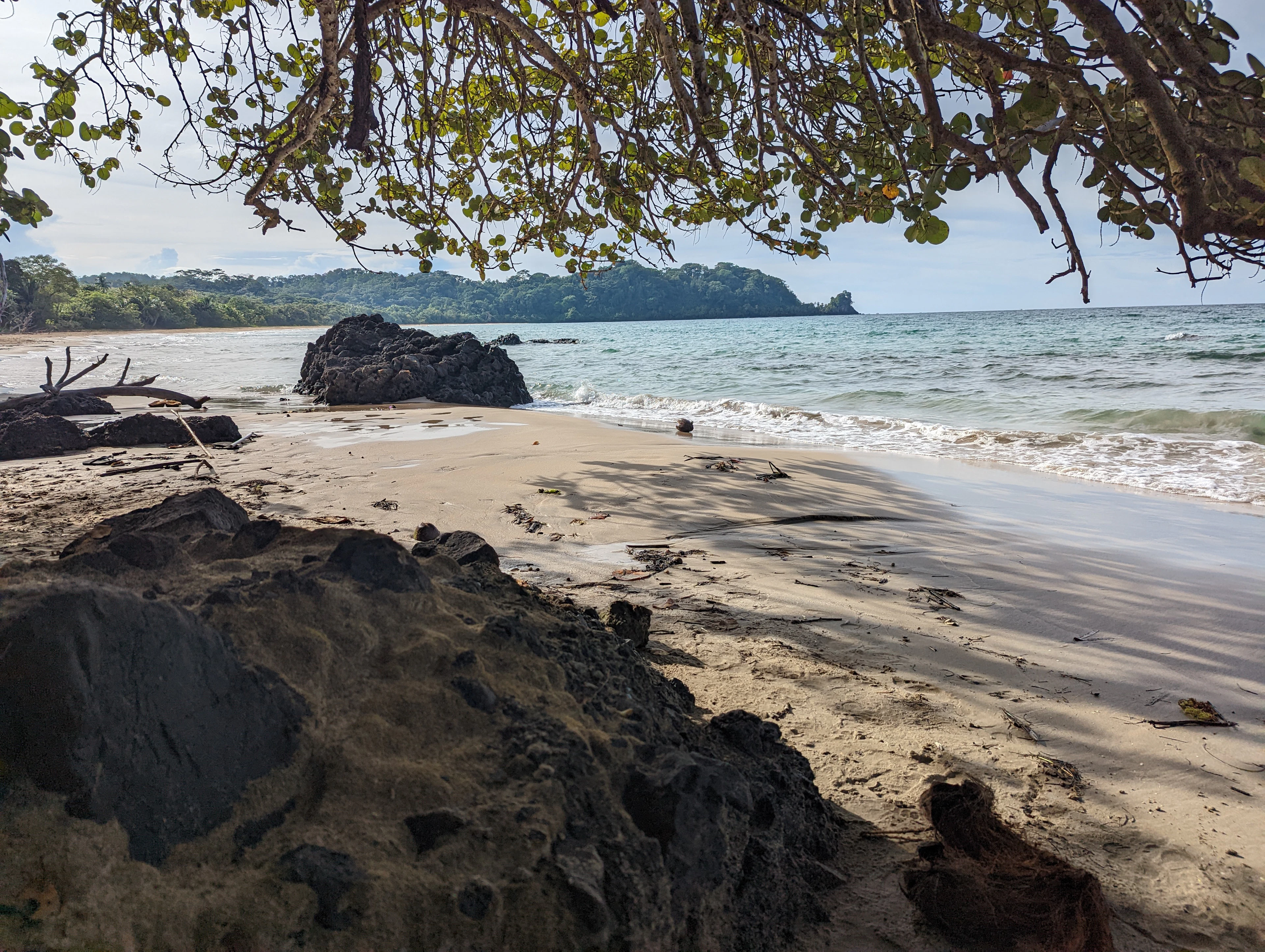 Bocas del Toro