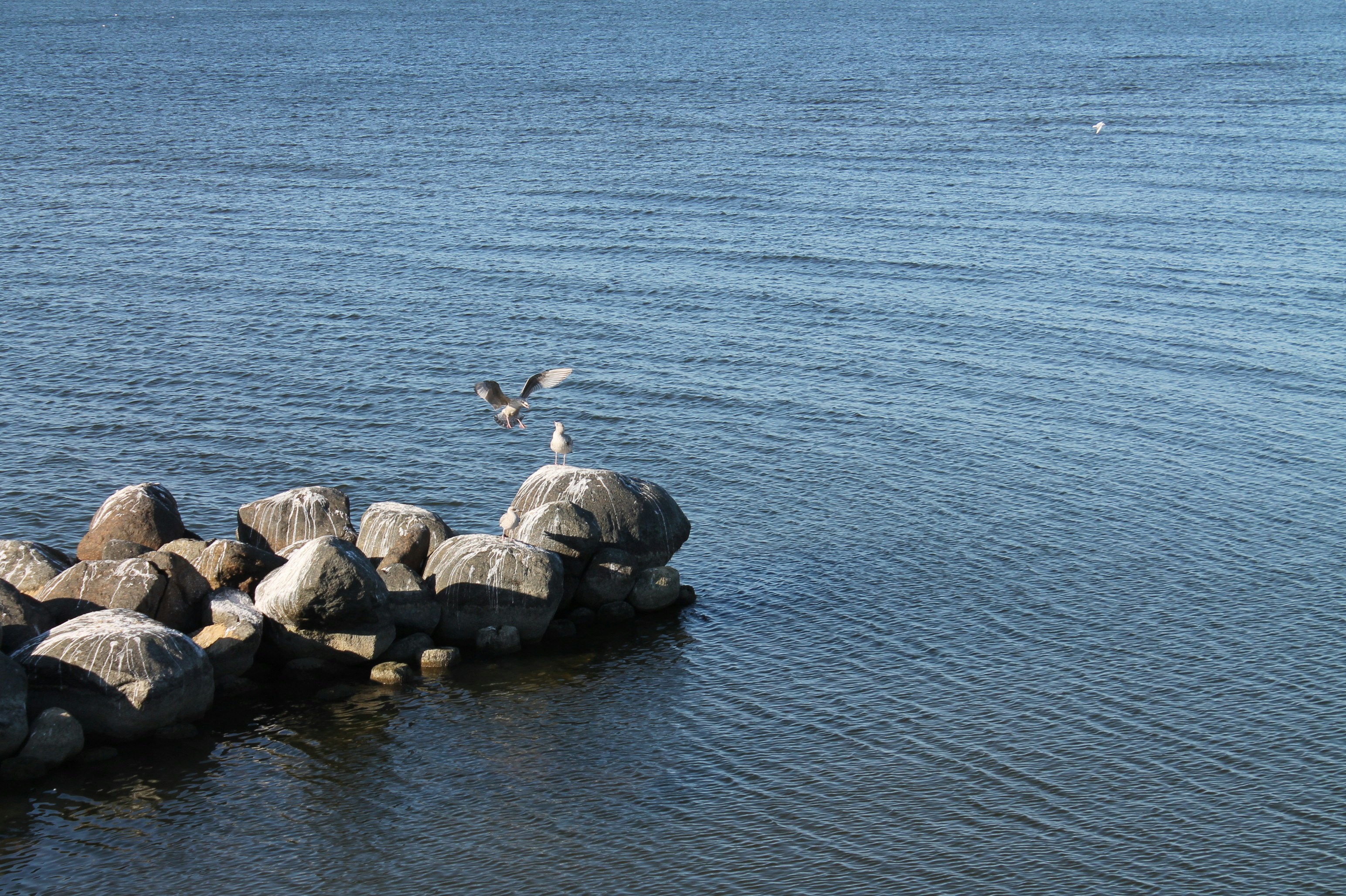 Photo by aurelija_pl