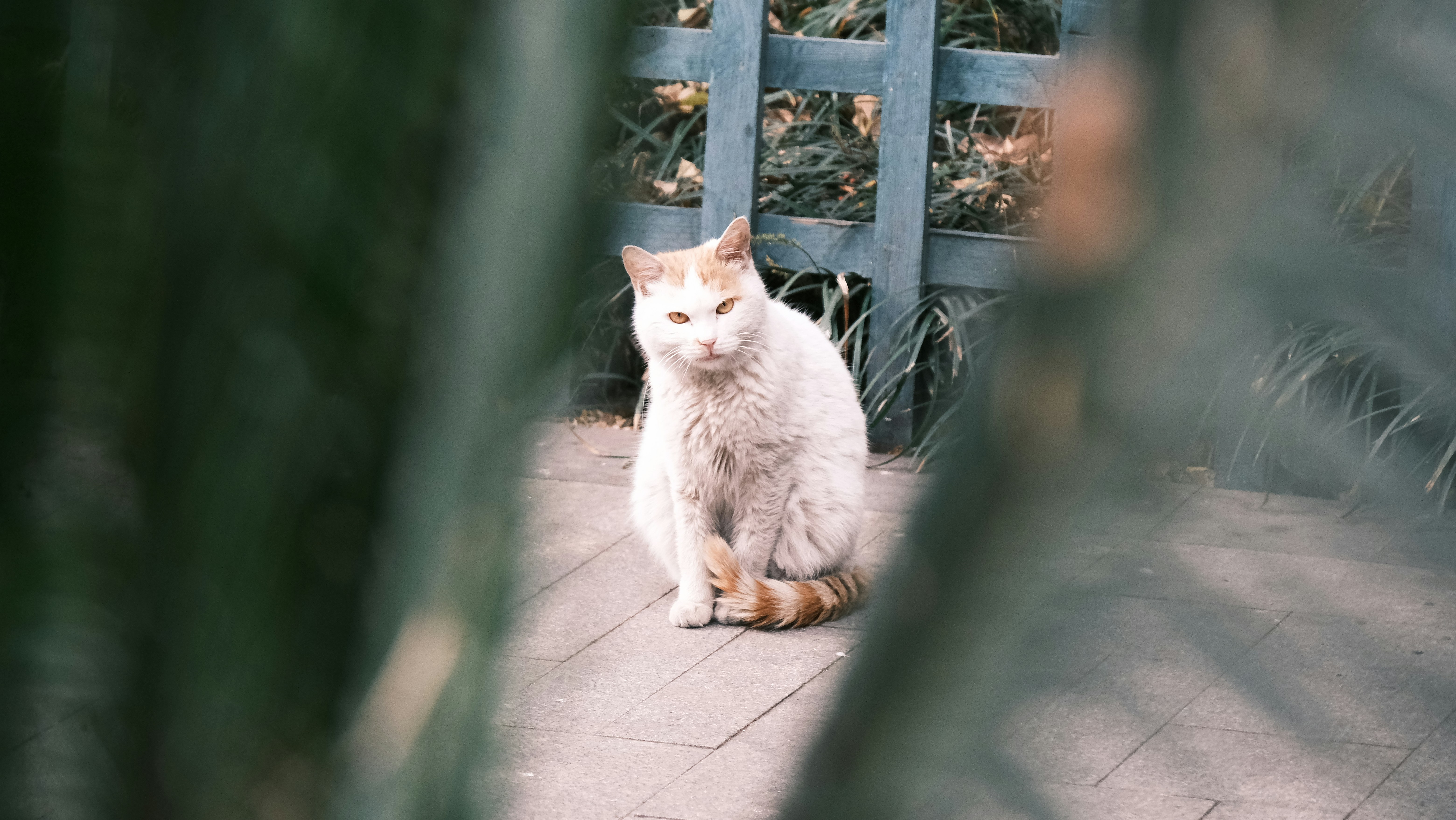 Photo by pestahdurbs