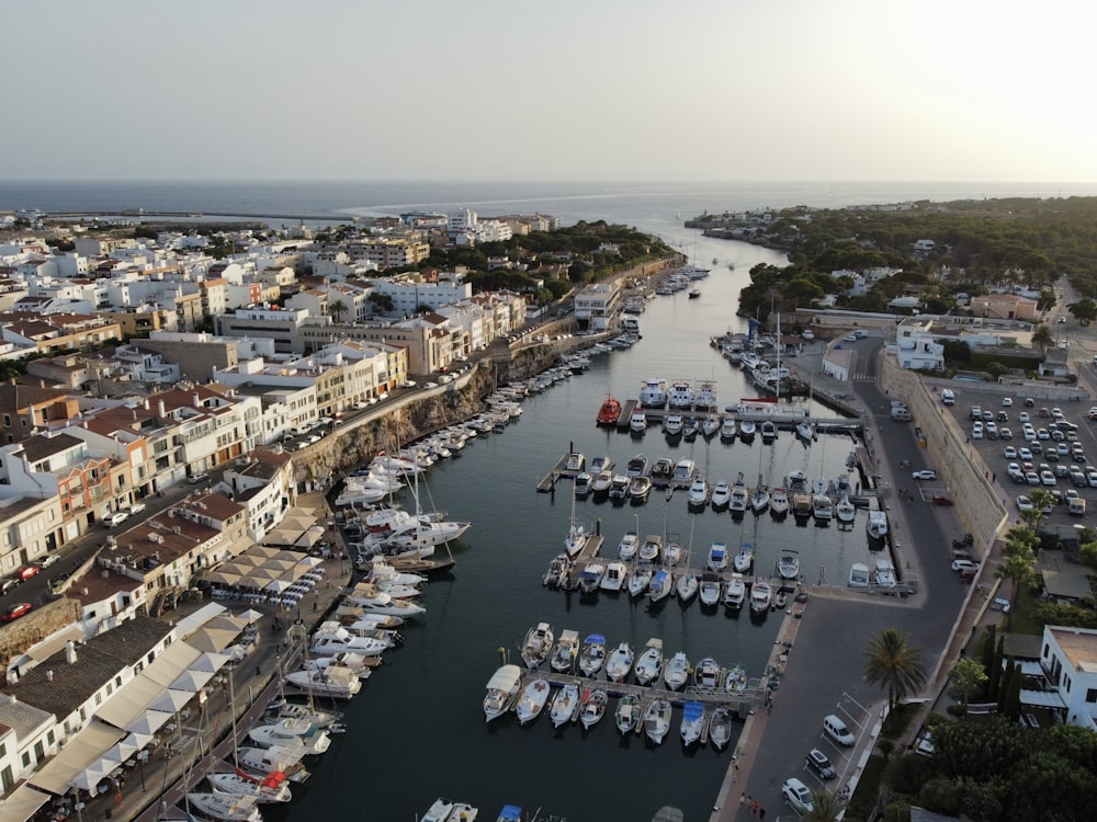 a harbor full of boats