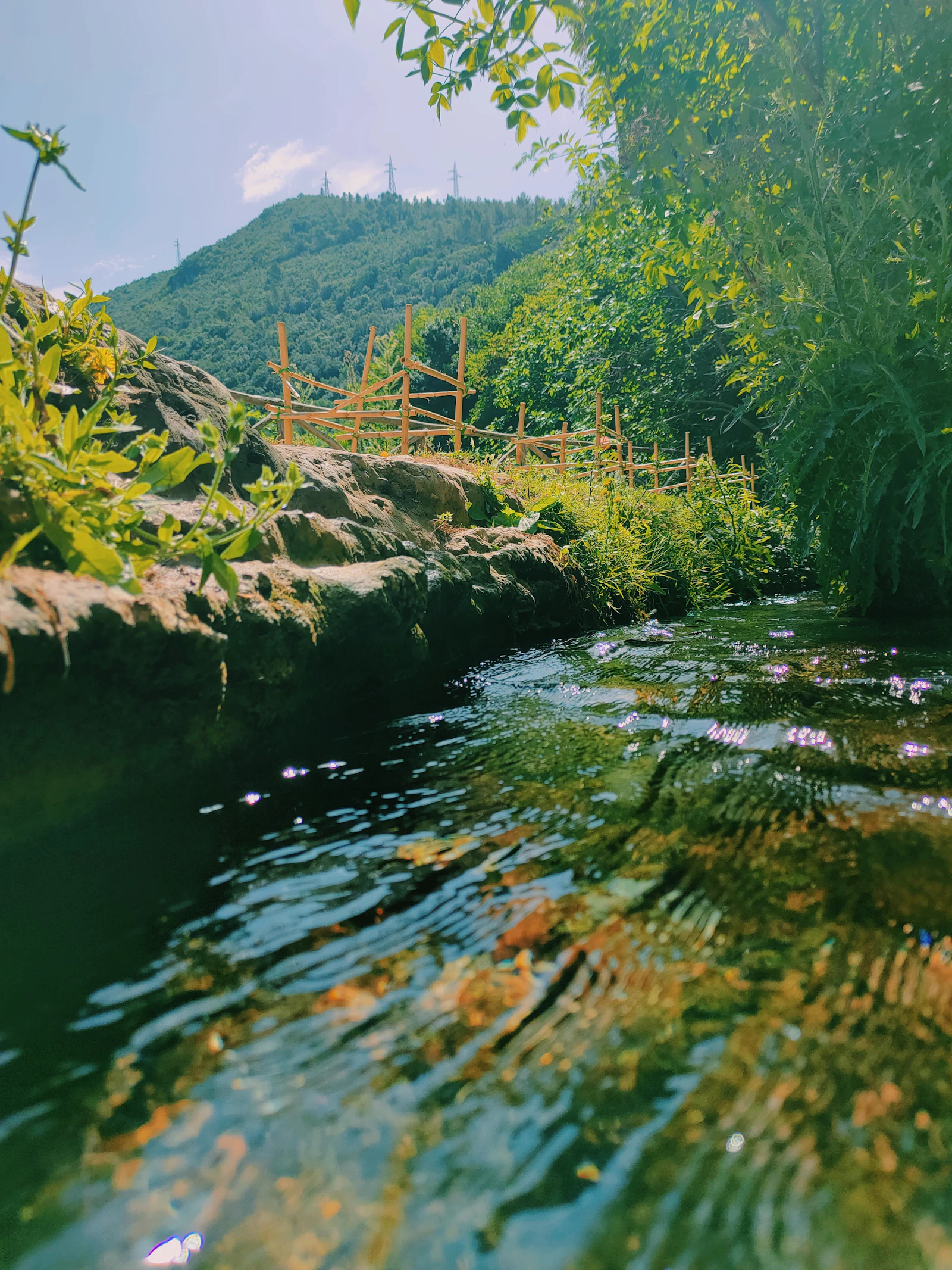 Río de montaña junto a una zona con vallado y ganado