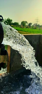 A stream of clear water is gushing from a pipe into a basin, with a backdrop of a lush green field and scattered trees under a clear sky.