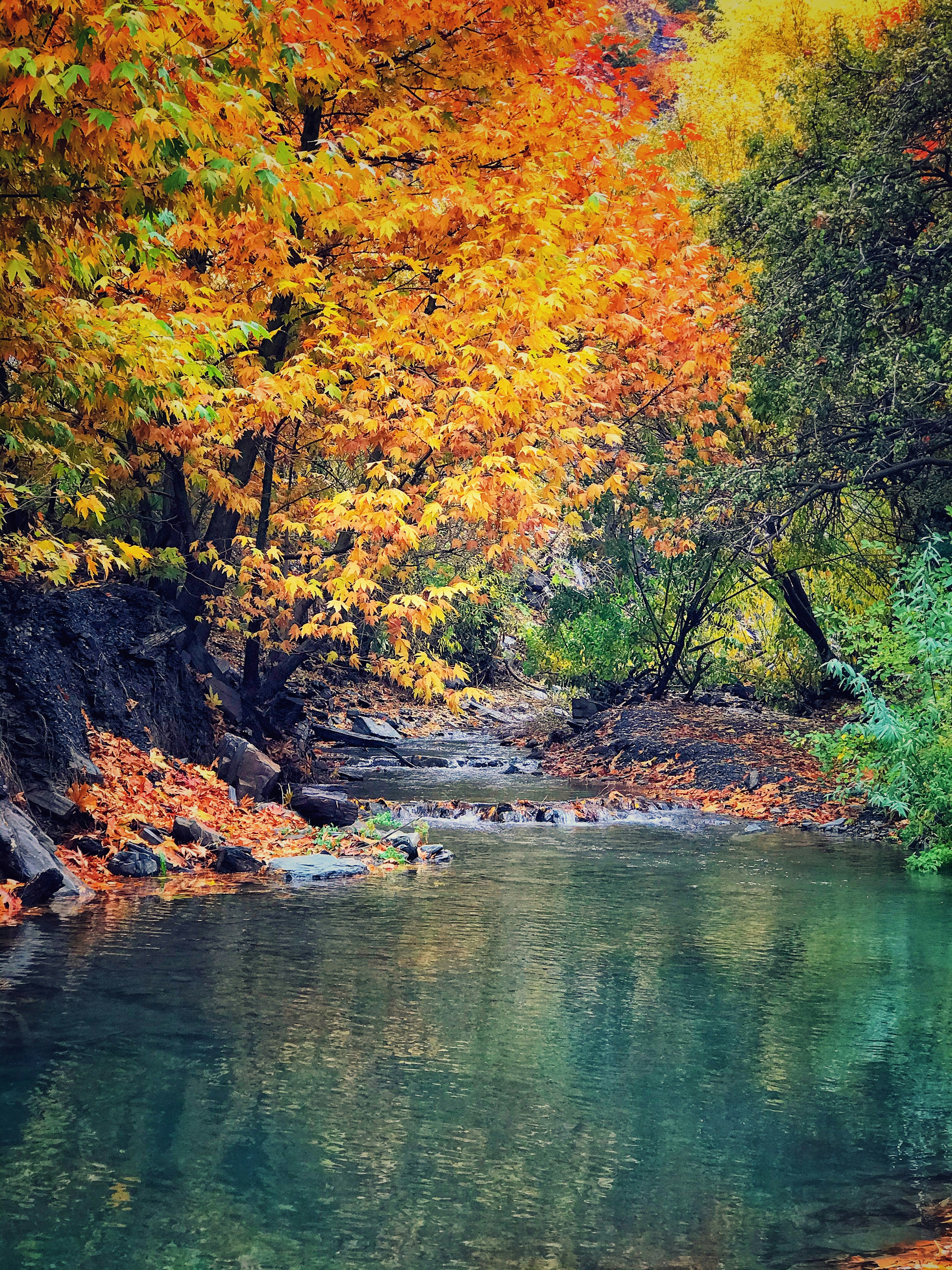 Photo by afarin_khoji