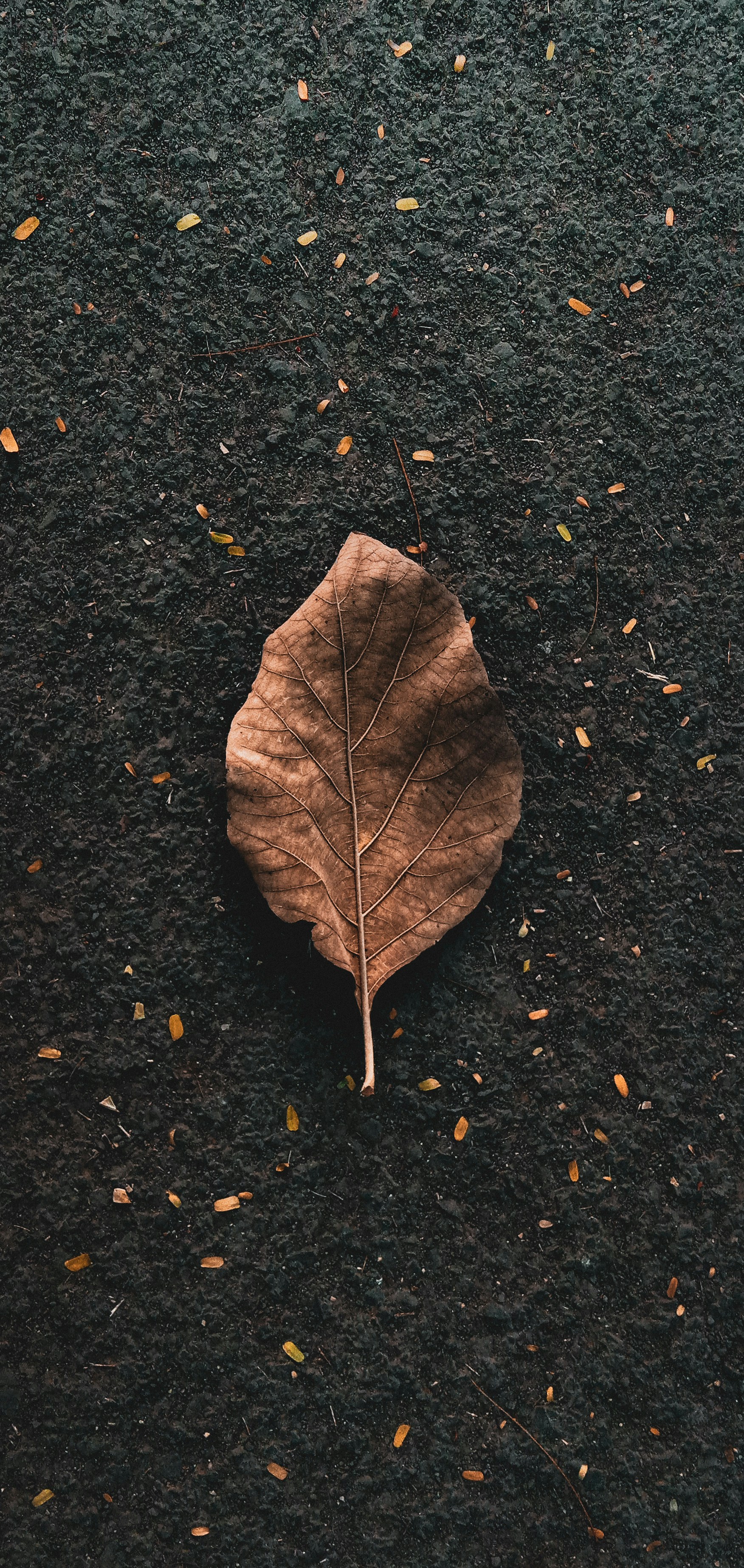 Photo by saurabhtayde