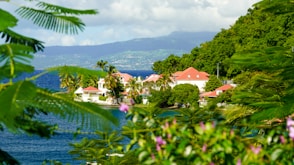 a body of water with trees and buildings along it