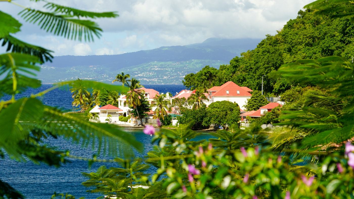 Guadeloupe coastline with turquoise water and palm trees