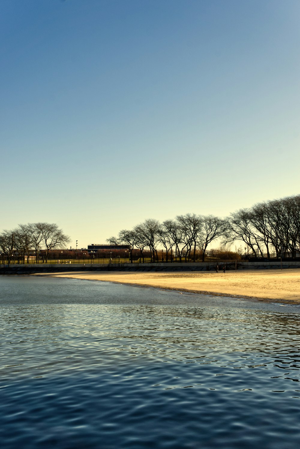 a body of water with trees in the background