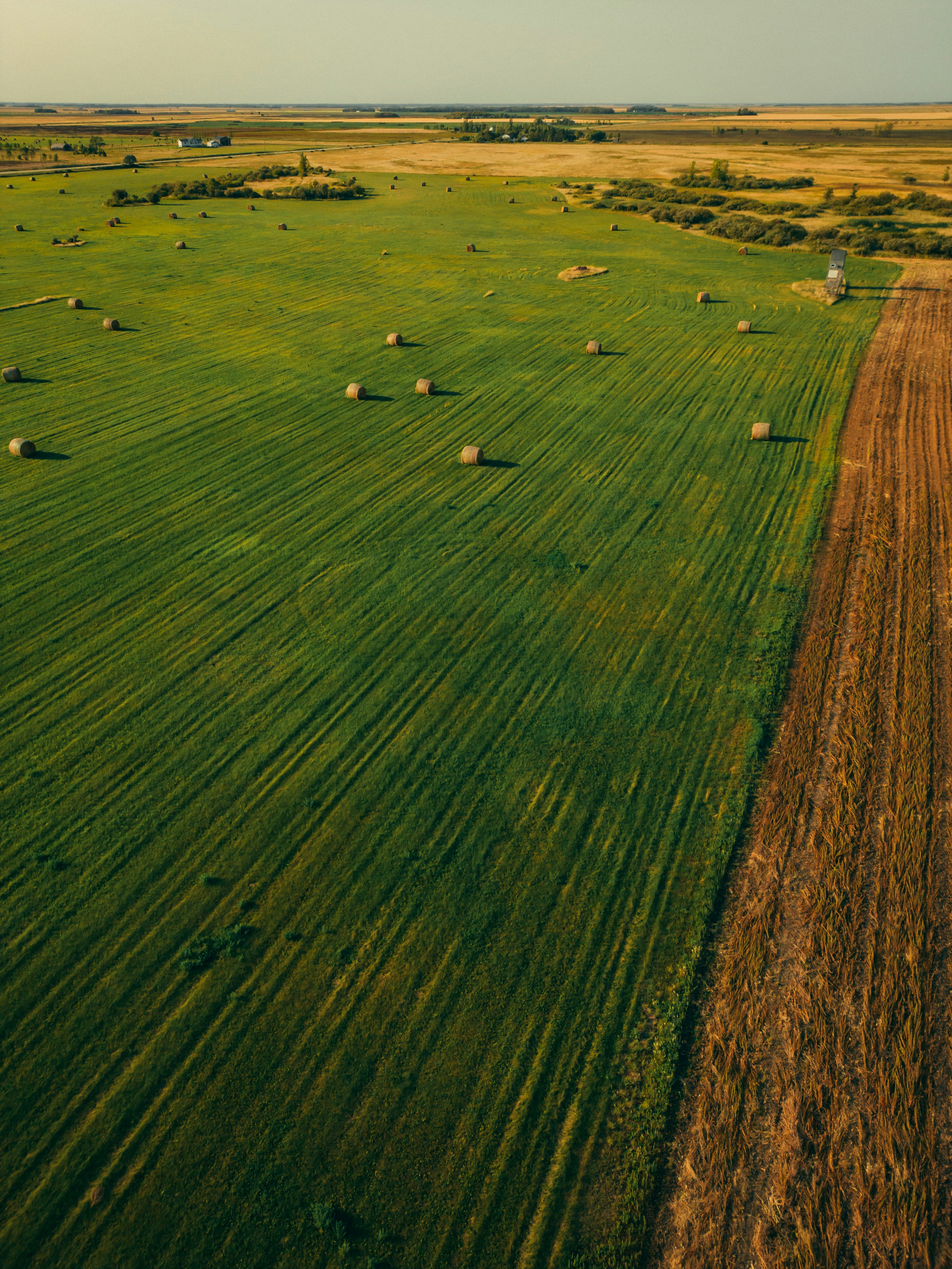 Photo by amanpreetdeol1