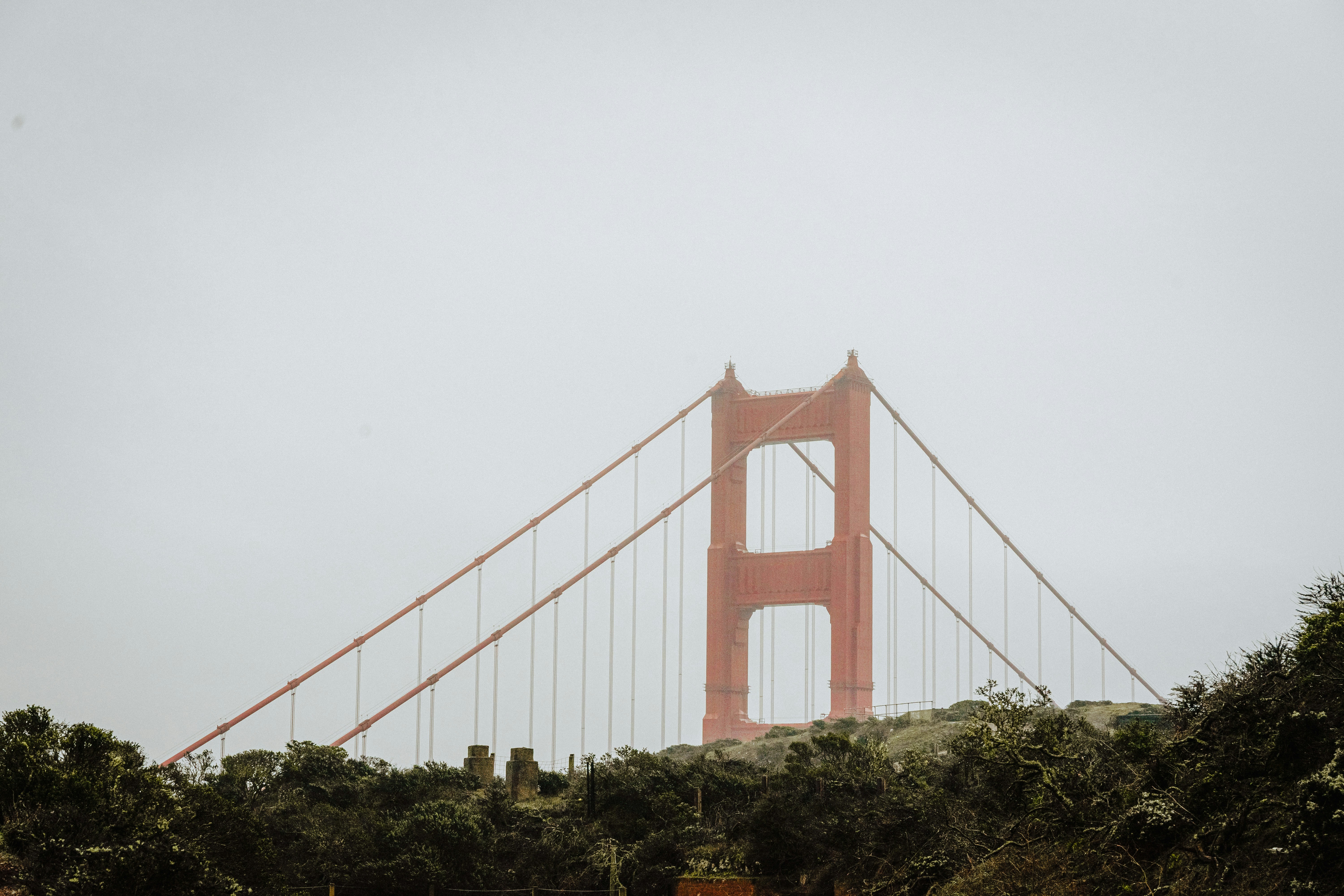 a red bridge with trees