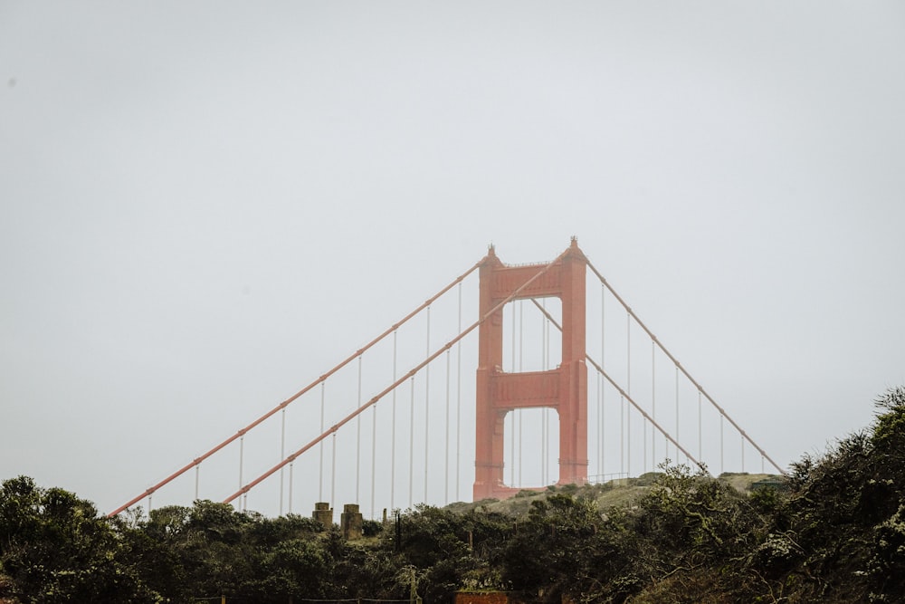 a red bridge with trees