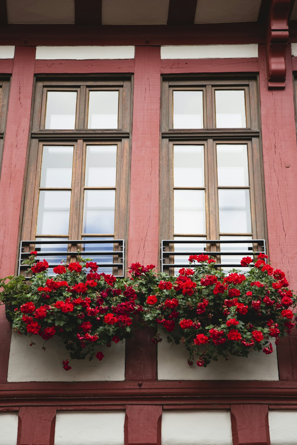 a window with a flower box