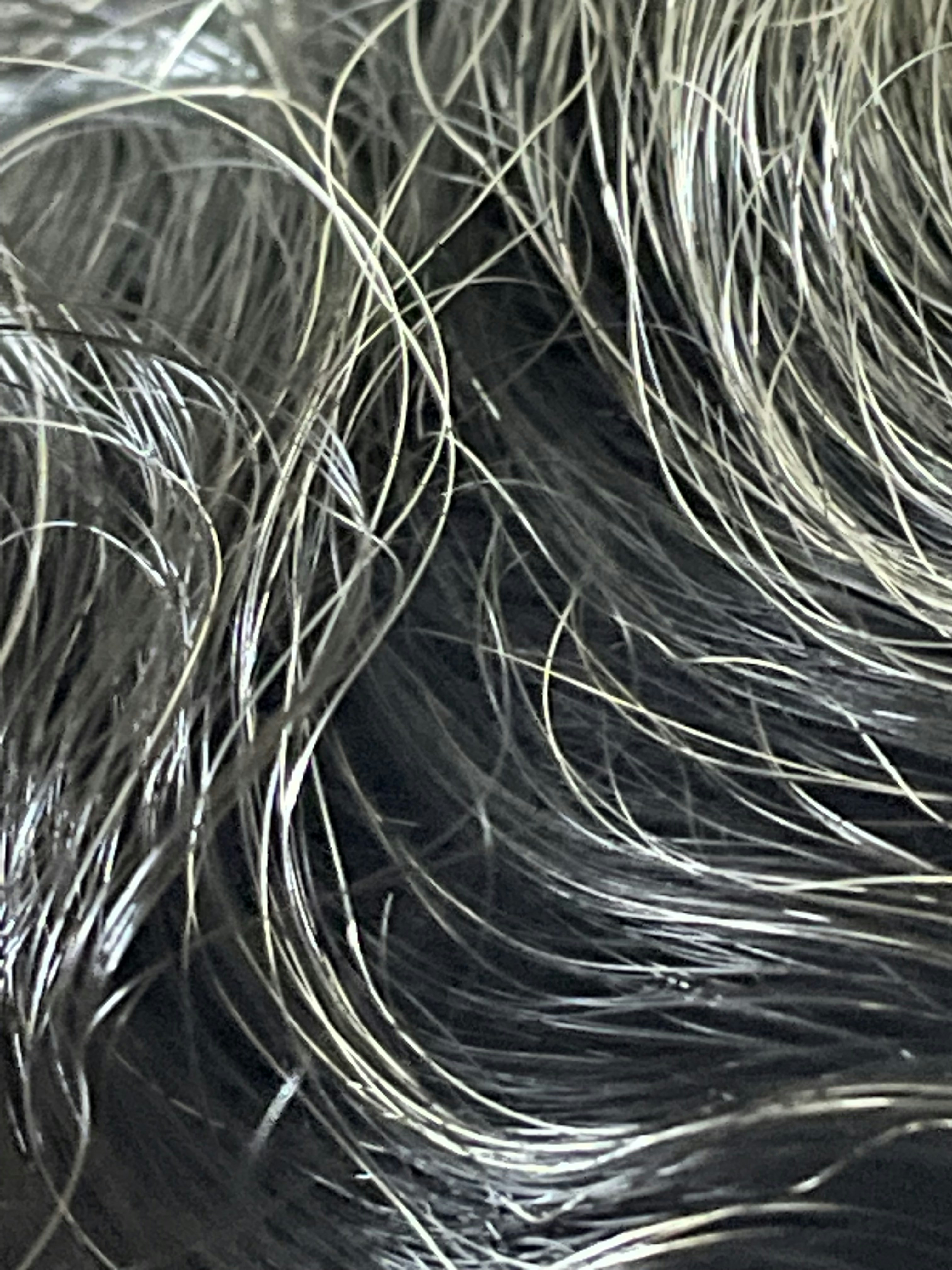 Gros plan des cheveux d’une personne