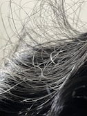 A close-up view of hair with numerous loose strands intertwined and overlapping. The strands appear to be gray or silver, indicating natural or dye-induced color. The background is blurred and neutral, focusing attention on the texture and flow of the hair.