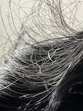 A close-up view of hair with numerous loose strands intertwined and overlapping. The strands appear to be gray or silver, indicating natural or dye-induced color. The background is blurred and neutral, focusing attention on the texture and flow of the hair.