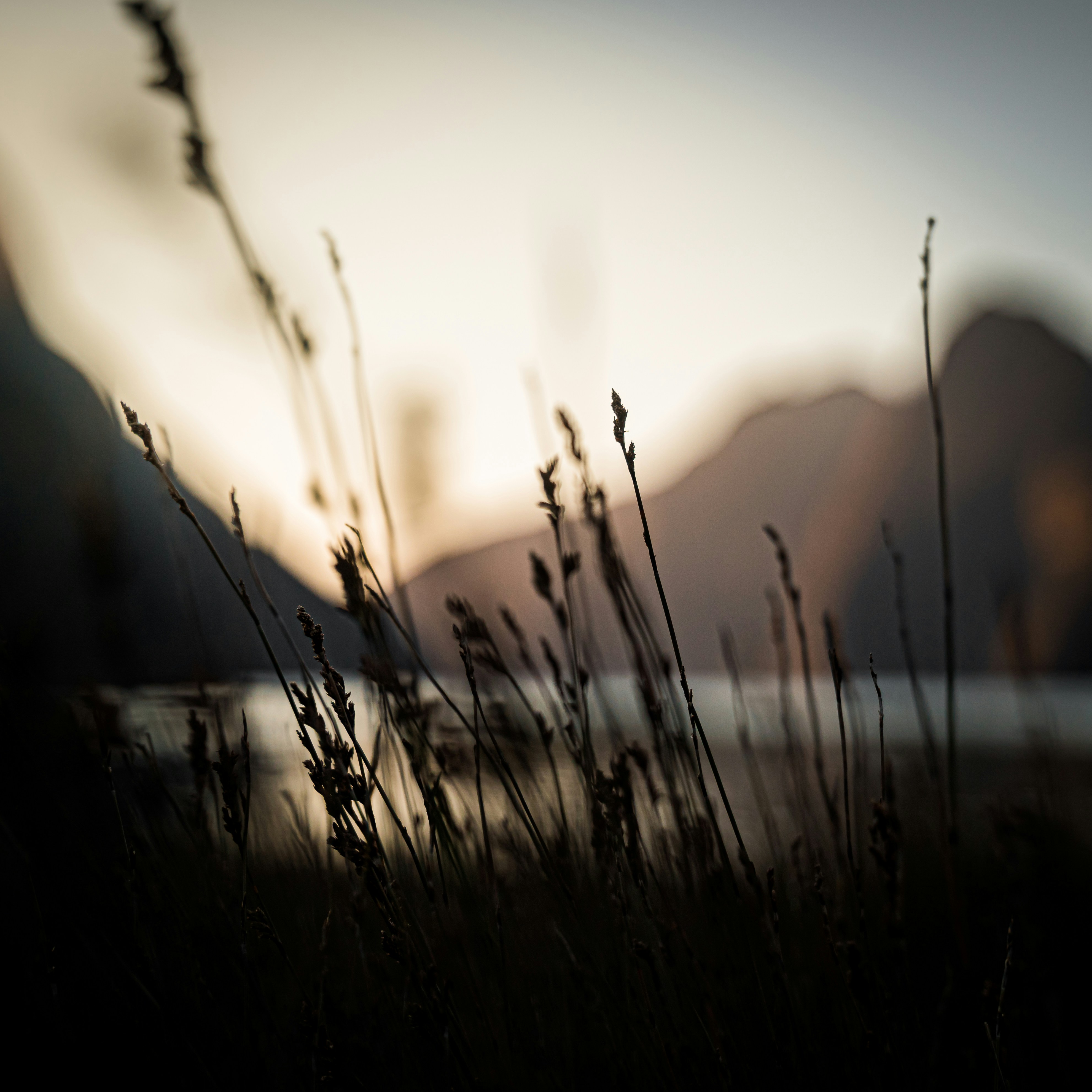 Photo by robshumski